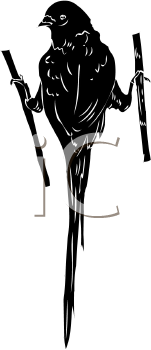 Bird Clipart