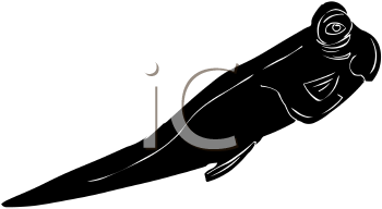 Fish and Sea Life Clipart