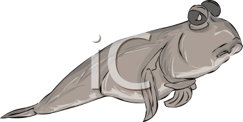 Fish and Sea Life Clipart
