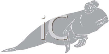 Fish and Sea Life Clipart