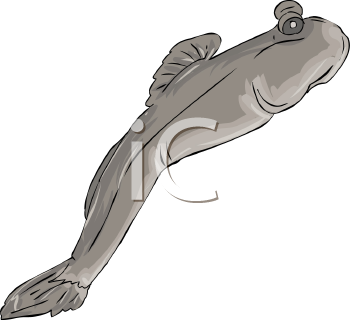 Fish and Sea Life Clipart