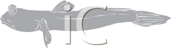 Fish and Sea Life Clipart
