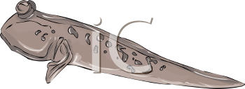 Fish and Sea Life Clipart