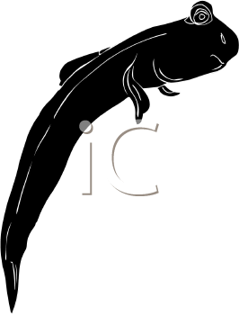 Fish and Sea Life Clipart