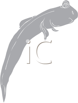 Fish and Sea Life Clipart