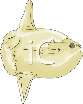 Fish and Sea Life Clipart