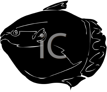 Fish and Sea Life Clipart