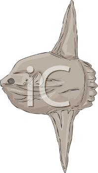Fish and Sea Life Clipart