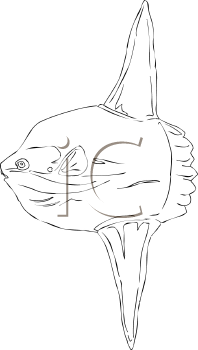 Fish and Sea Life Clipart