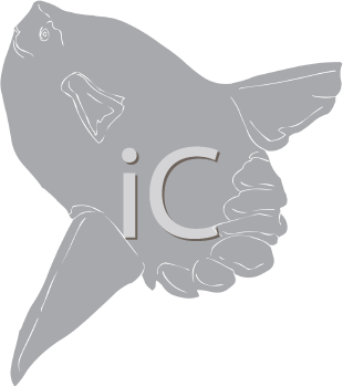 Fish and Sea Life Clipart