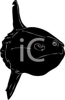 Fish and Sea Life Clipart