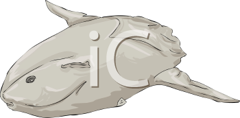 Fish and Sea Life Clipart