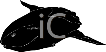 Fish and Sea Life Clipart