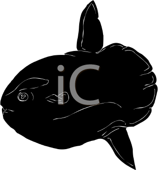 Fish and Sea Life Clipart