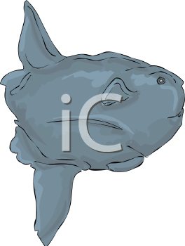 Fish and Sea Life Clipart