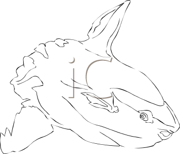 Fish and Sea Life Clipart