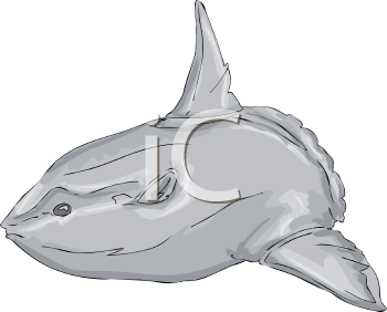 Fish and Sea Life Clipart