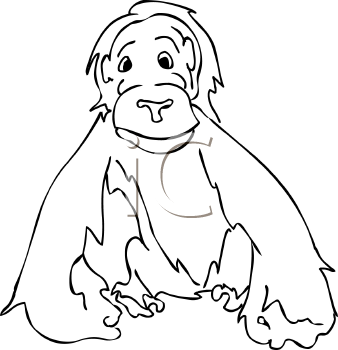 Primate Clipart