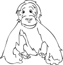 Primate Clipart
