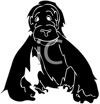 Primate Clipart