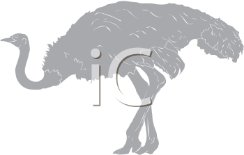 Bird Clipart