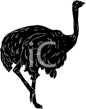 Bird Clipart