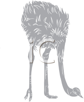 Bird Clipart