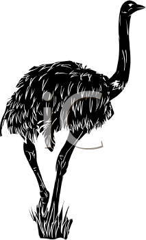 Bird Clipart