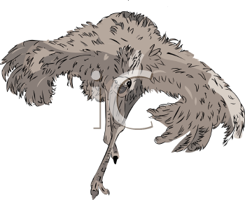 Bird Clipart
