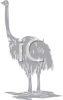 Bird Clipart