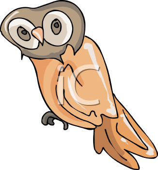 Bird Clipart