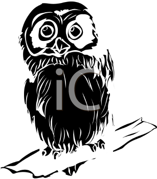 Bird Clipart