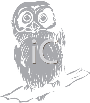 Bird Clipart