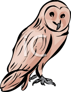 Bird Clipart