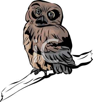 Bird Clipart