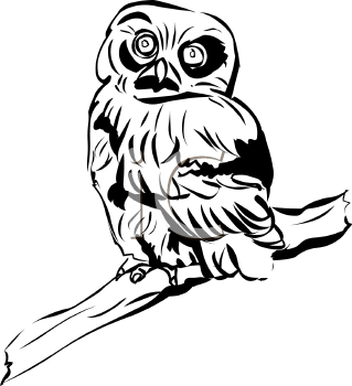 Bird Clipart