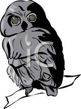 Bird Clipart