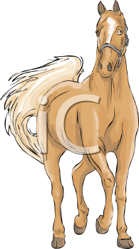 Horse Clipart
