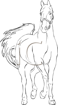 Horse Clipart