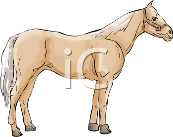 Horse Clipart