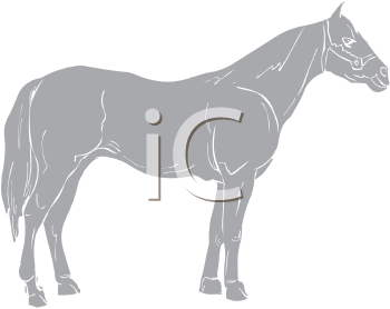 Horse Clipart