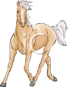 Horse Clipart