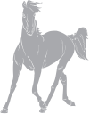 Horse Clipart