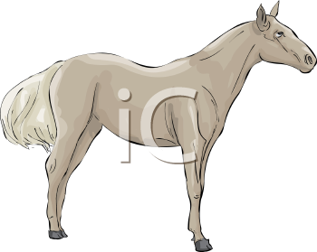 Horse Clipart