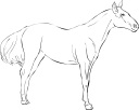 Horse Clipart