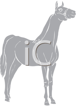 Horse Clipart