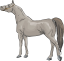 Horse Clipart