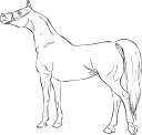 Horse Clipart