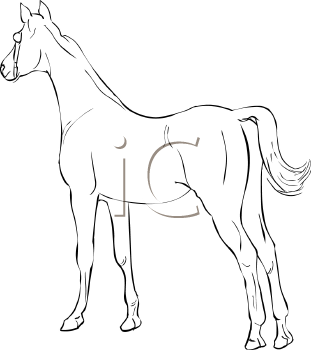 Horse Clipart