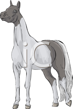 Horse Clipart